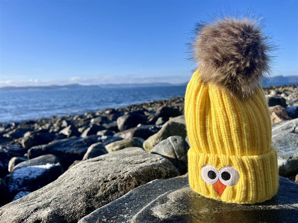 ei gul påskelue står på en stein i fjæra - Klikk for stort bilde