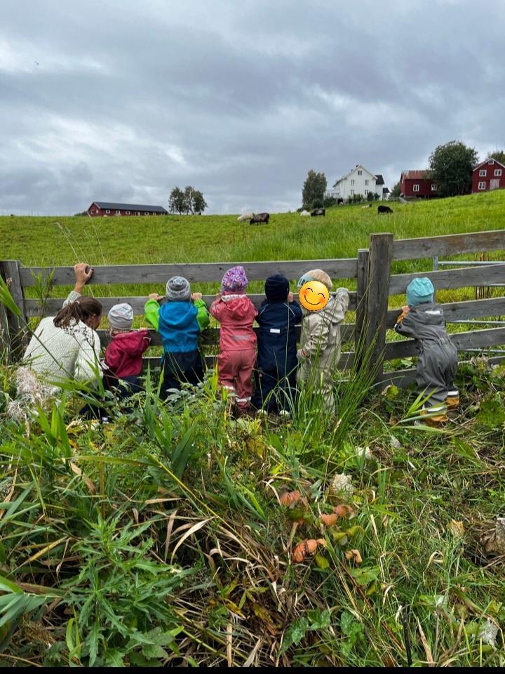 Barn ser på kyr på beite - Klikk for stort bilde