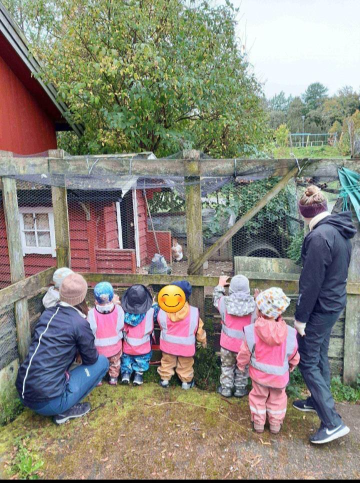 Barn ser på dyr - Klikk for stort bilde